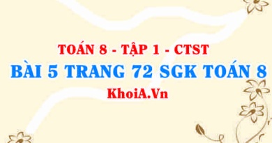 Bài 5 trang 72 SGK Toán 8 Tập 1 Chân trời sáng tạo